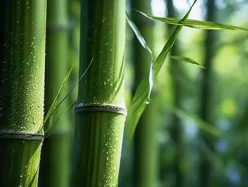 Graatsiline bambus: Hiina bambusetoodete kultuuri taaselustamine ja õitseng